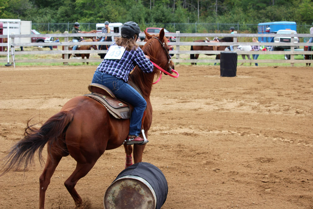 Draft Horse Competition